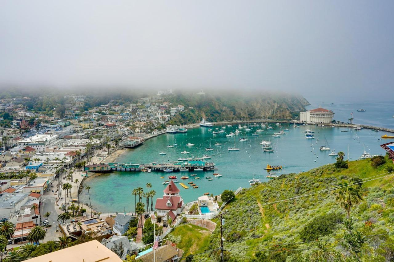 Dreamy Catalina Island Home, Walk To Beach And Ferry Avalon Extérieur photo
